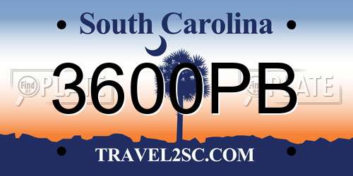 3600PB South Carolina License Plate