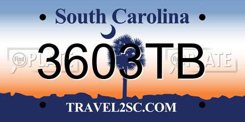 3603TB South Carolina License Plate