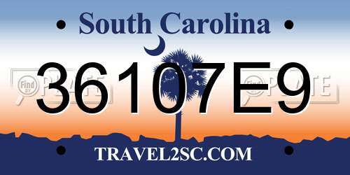 36107E9 South Carolina License Plate