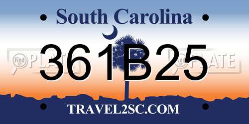 361B25 South Carolina License Plate
