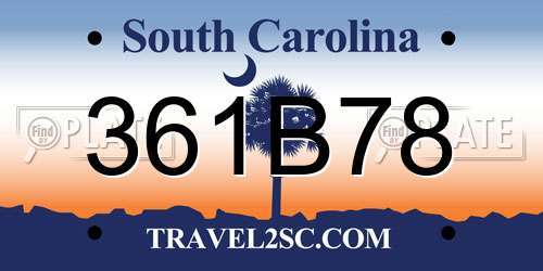 361B78 South Carolina License Plate