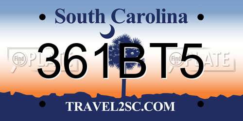 361BT5 South Carolina License Plate