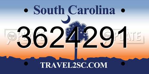 3624291 South Carolina License Plate