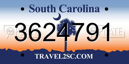 3624791 South Carolina License Plate