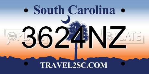3624NZ South Carolina License Plate