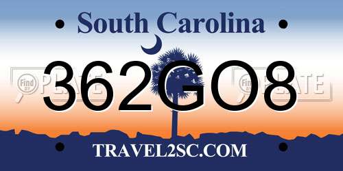 362GO8 South Carolina License Plate