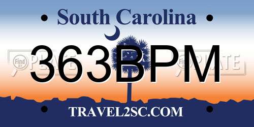 363BPM South Carolina License Plate