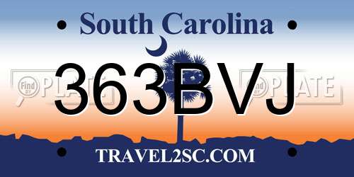 363BVJ South Carolina License Plate