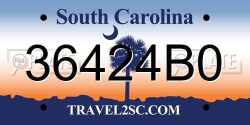 36424B0 South Carolina License Plate