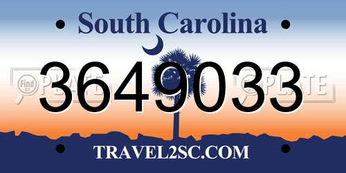 3649033 South Carolina License Plate