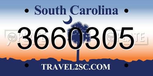 3660305 South Carolina License Plate