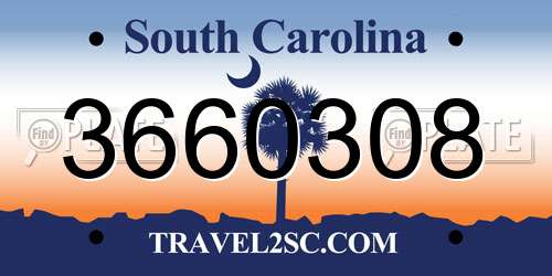 3660308 South Carolina License Plate