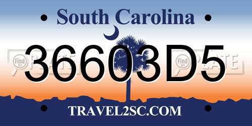 36603D5 South Carolina License Plate
