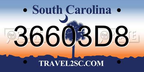 36603D8 South Carolina License Plate