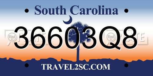 36603Q8 South Carolina License Plate
