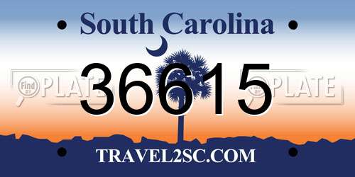 36615 South Carolina License Plate