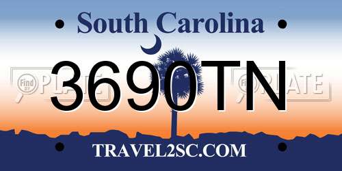3690TN South Carolina License Plate