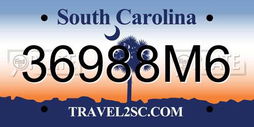 36988M6 South Carolina License Plate