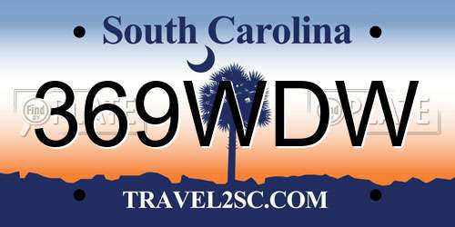 369WDW South Carolina License Plate