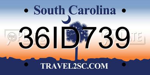 36ID739 South Carolina License Plate