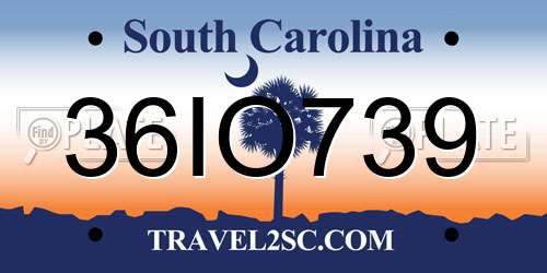36IO739 South Carolina License Plate