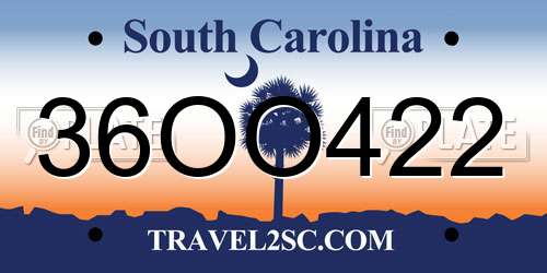 36OO422 South Carolina License Plate