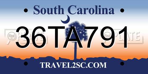 36TA791 South Carolina License Plate