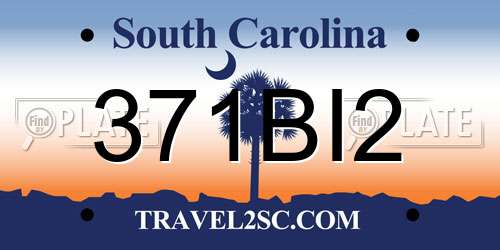 371BI2 South Carolina License Plate