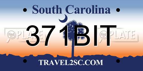 371BIT South Carolina License Plate