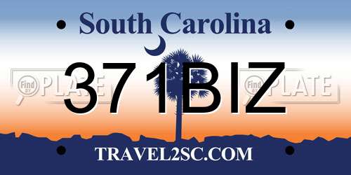 371BIZ South Carolina License Plate
