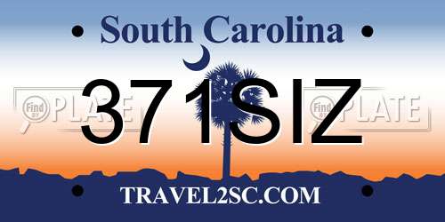 371SIZ South Carolina License Plate