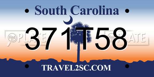 371T58 South Carolina License Plate
