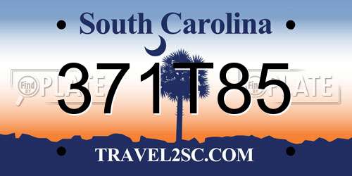 371T85 South Carolina License Plate