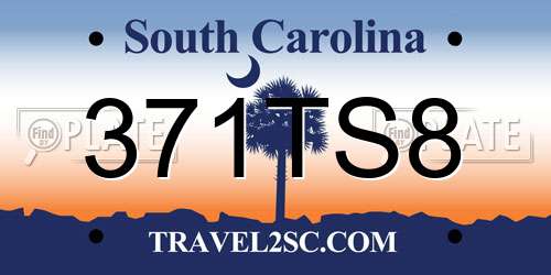 371TS8 South Carolina License Plate