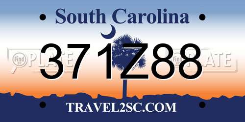 371Z88 South Carolina License Plate