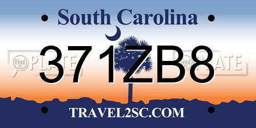 371ZB8 South Carolina License Plate