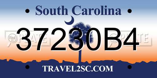 37230B4 South Carolina License Plate