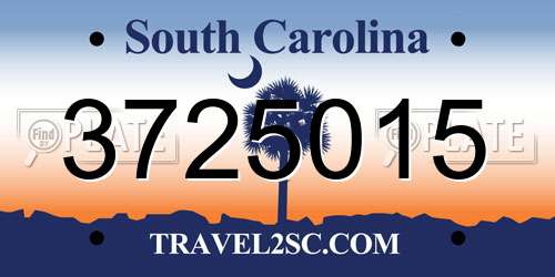3725015 South Carolina License Plate