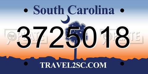 3725018 South Carolina License Plate
