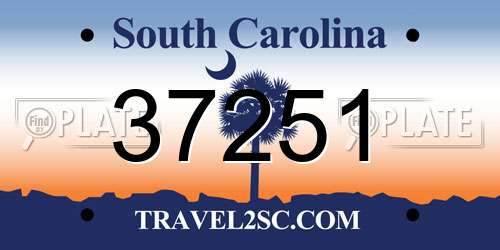 37251 South Carolina License Plate