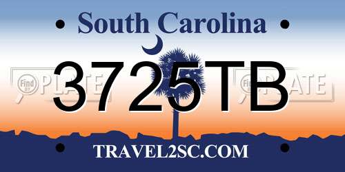 3725TB South Carolina License Plate