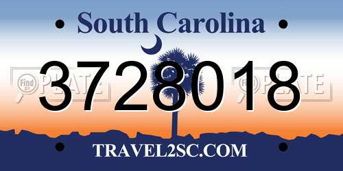 3728018 South Carolina License Plate