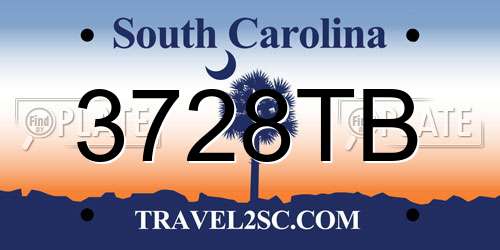3728TB South Carolina License Plate