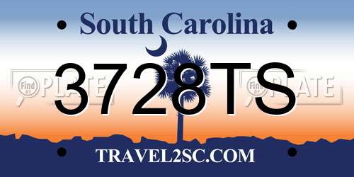 3728TS South Carolina License Plate