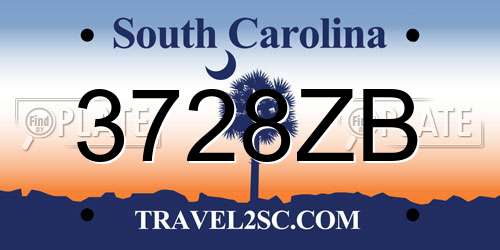 3728ZB South Carolina License Plate