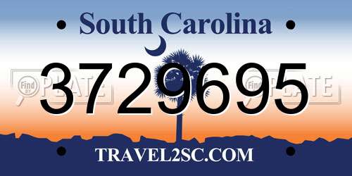 3729695 South Carolina License Plate