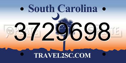 3729698 South Carolina License Plate