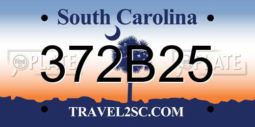 372B25 South Carolina License Plate