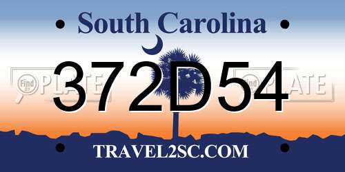 372D54 South Carolina License Plate