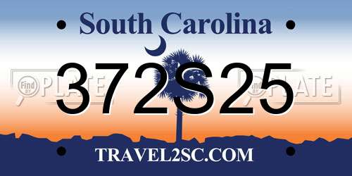 372S25 South Carolina License Plate